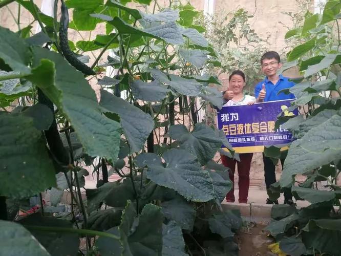 为作物而来，让私人定制成为习惯 开启农作物收割服务的新纪元