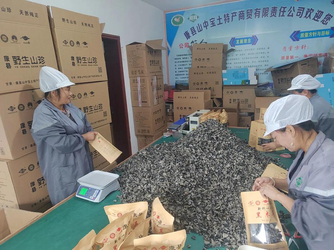 我为家乡农产品代言 #源头工厂 加班加点忙碌的身影康县