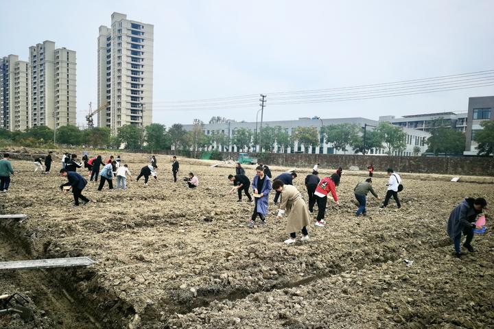 浙江新闻客户端:播撒种子、下地覆土&hellip;嘉兴首个&ldquo;大学生劳动实践教育基地&rdquo;成立